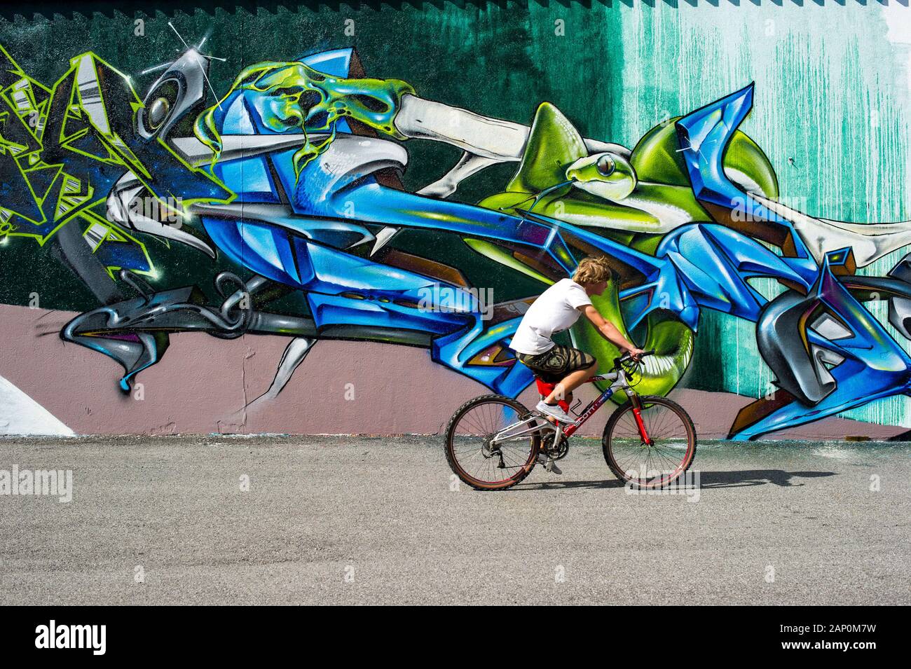Detail Graffiti Wall Snake Nomer 41