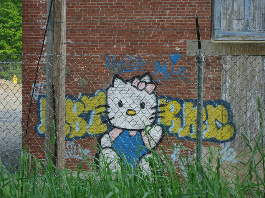 Detail Hello Kitty Graffiti Nomer 51