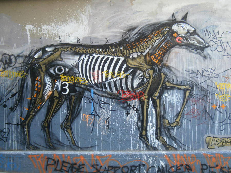 Detail Horse Graffiti Nomer 23