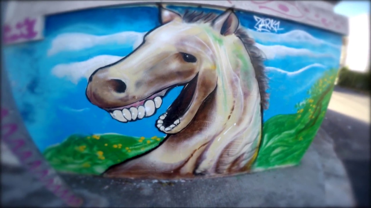 Detail Horse Graffiti Nomer 27