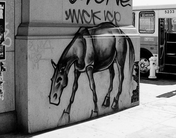 Detail Horse Graffiti Nomer 46