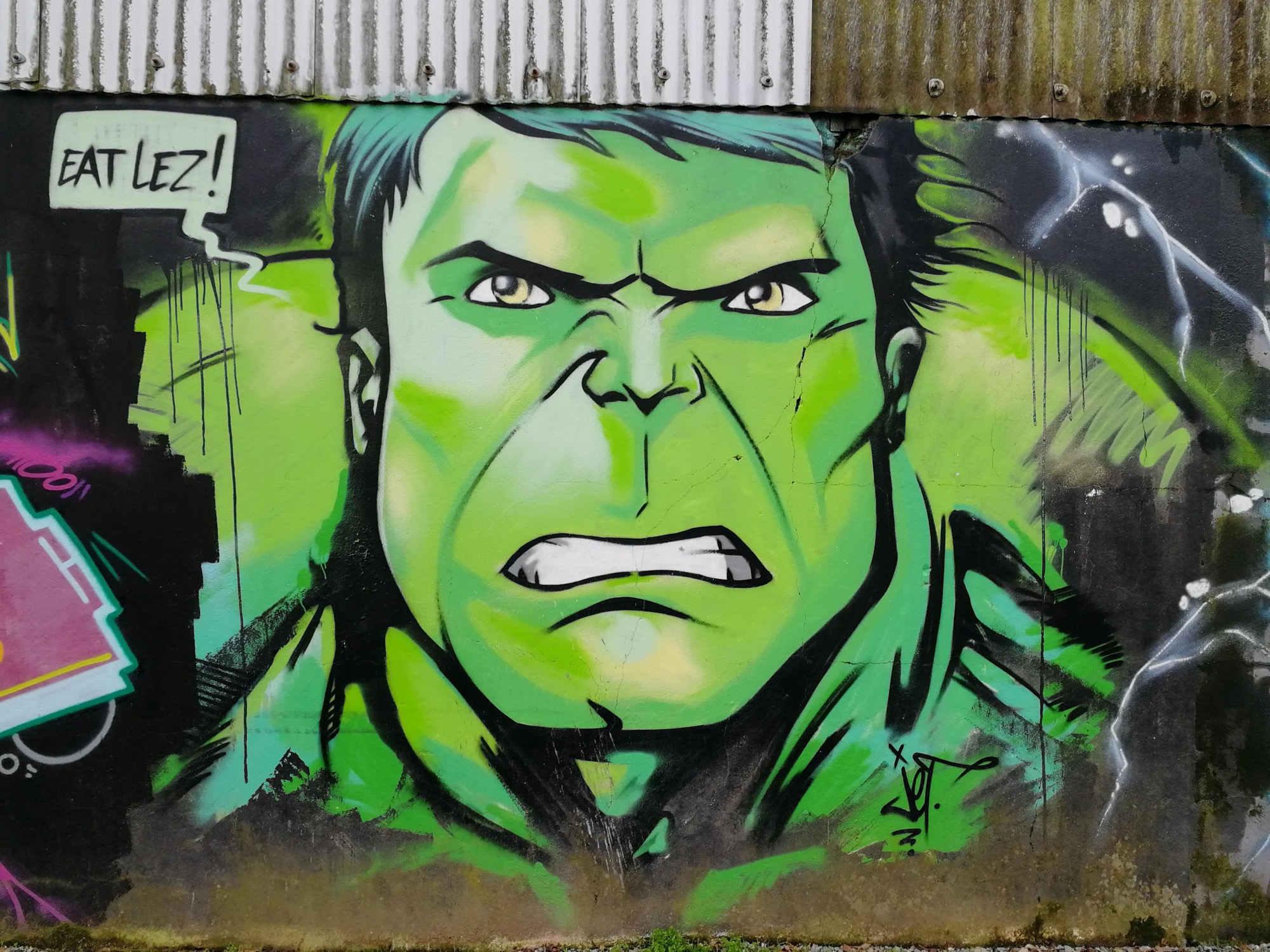 Detail Hulk Graffiti Nomer 10