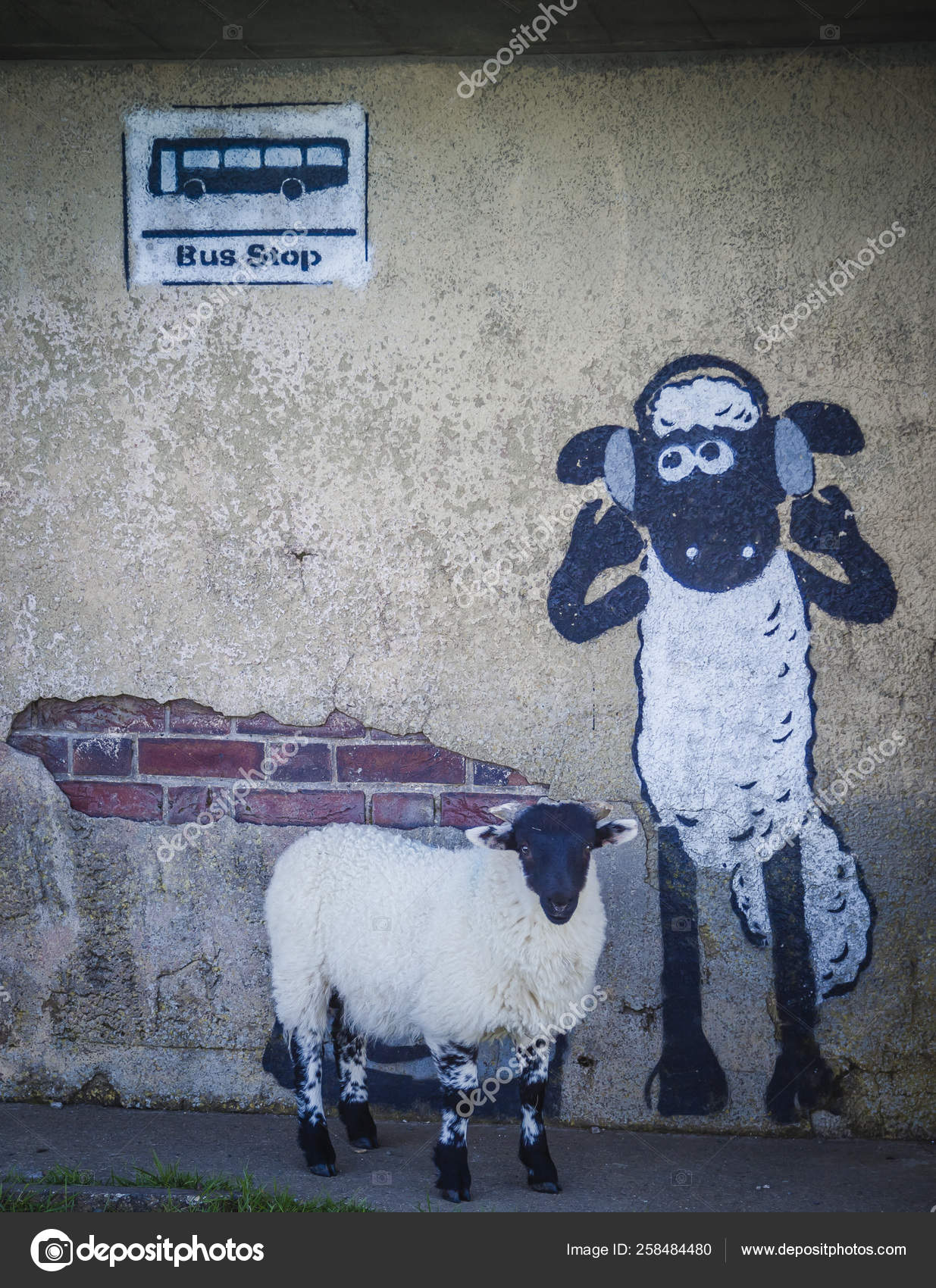 Detail Its Sheep Graffiti Nomer 27