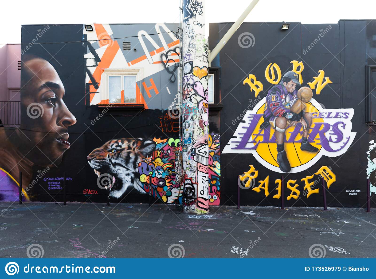 Detail Kobe Bryant Graffiti Wall Nomer 51