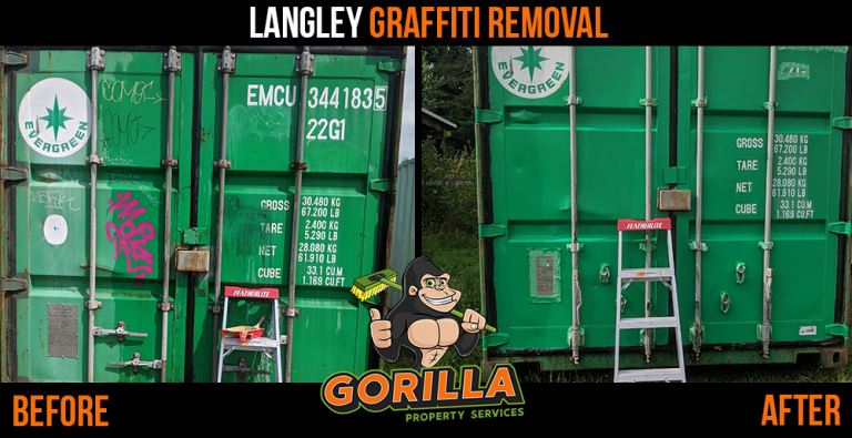 Langley Graffiti Removal - KibrisPDR