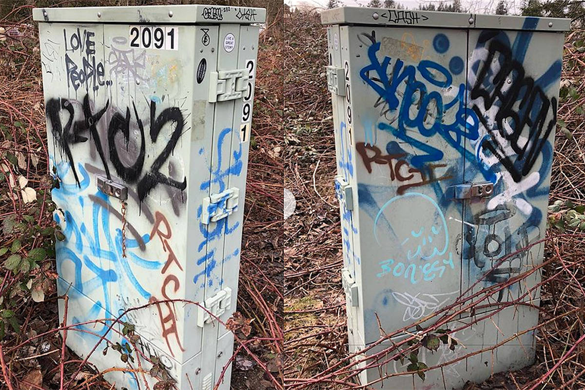 Detail Langley Graffiti Removal Nomer 8