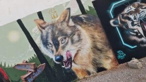 Detail Lobos Graffiti Barcelona Nomer 28