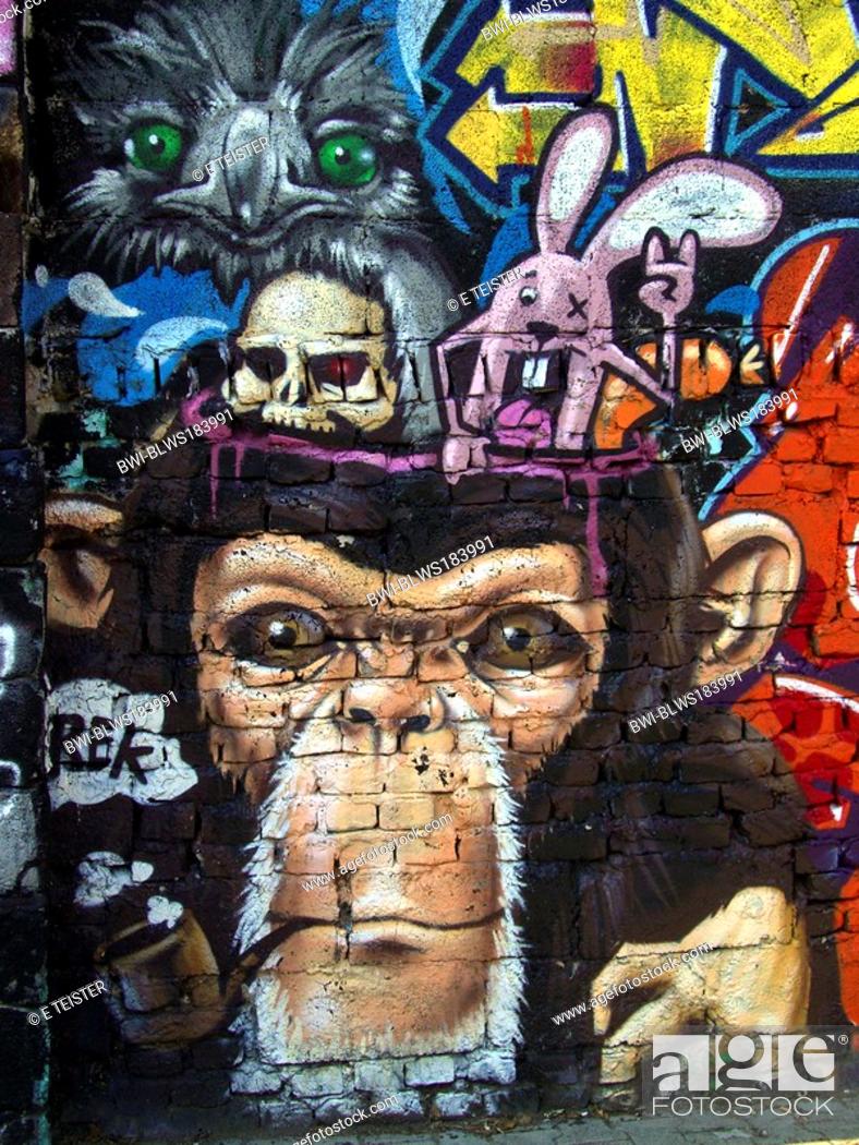 Detail Monkey Graffiti Nomer 24