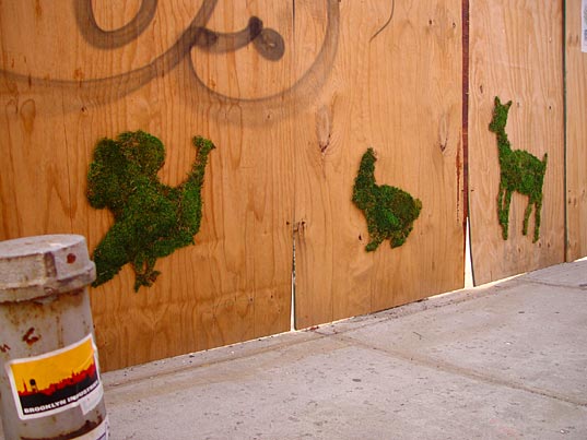 Detail Moss Graffiti On Wood Nomer 34