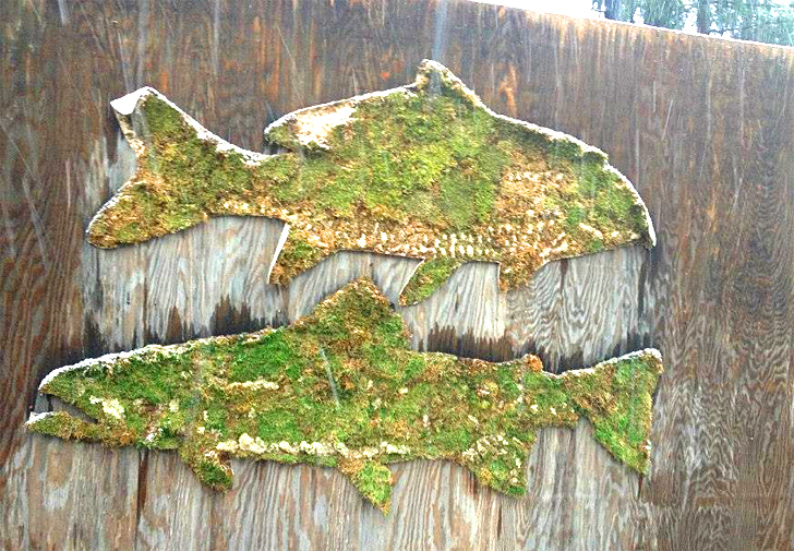 Detail Moss Graffiti On Wood Nomer 6