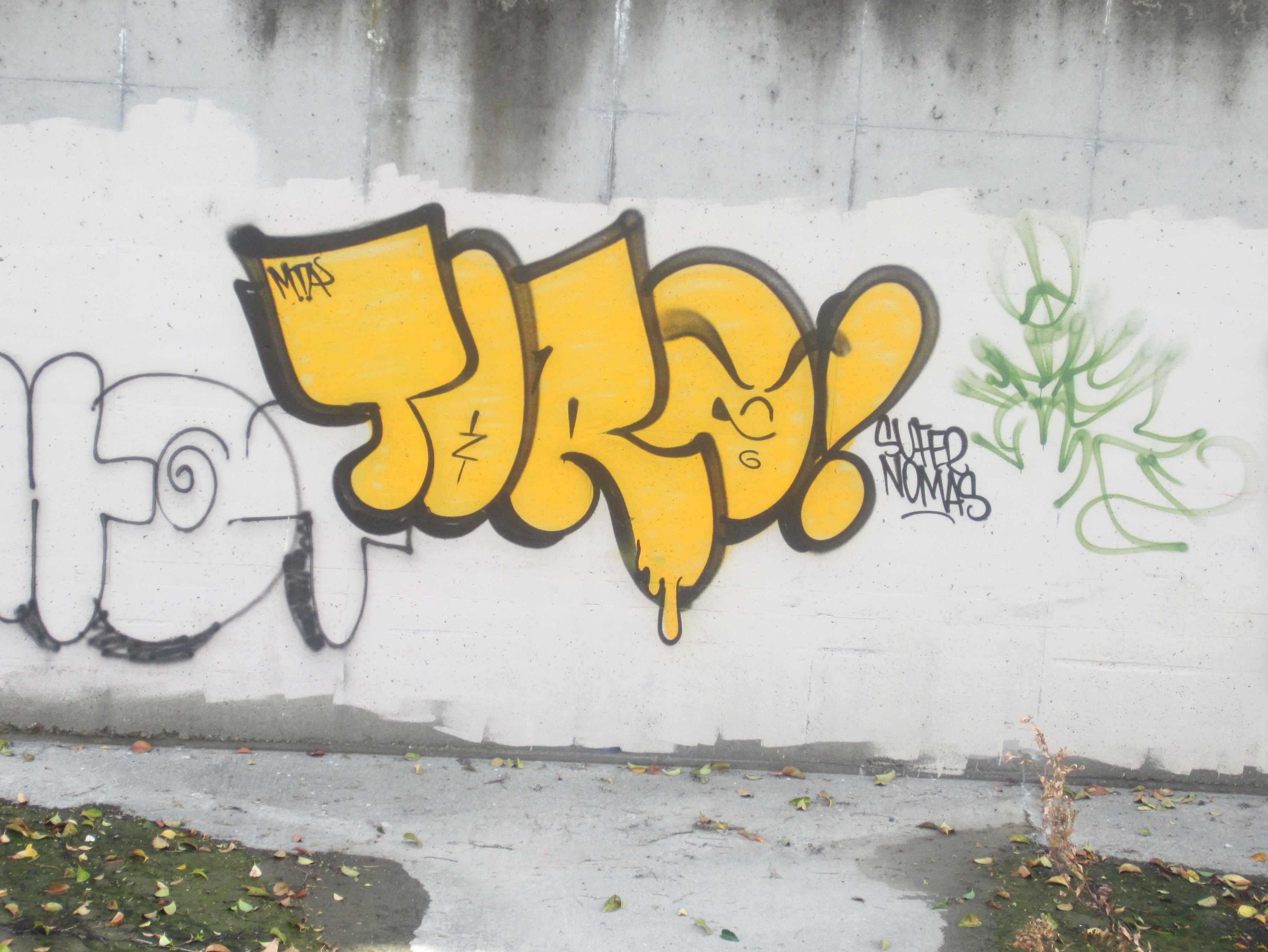 Detail Mta Graffiti Nomer 42