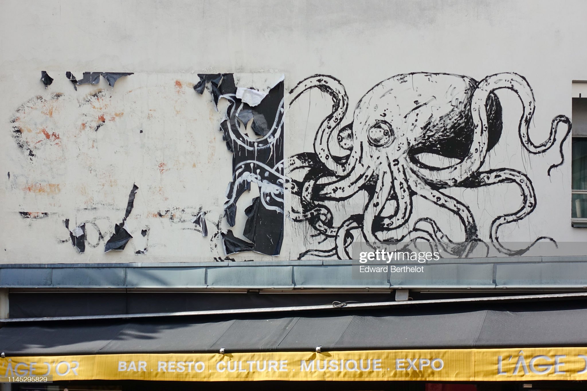 Detail Octopus Graffiti Art Nomer 24