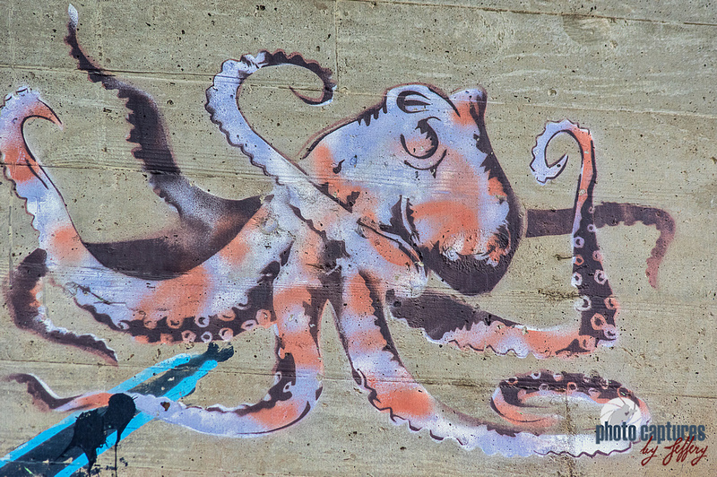 Detail Octopus Graffiti Art Nomer 31