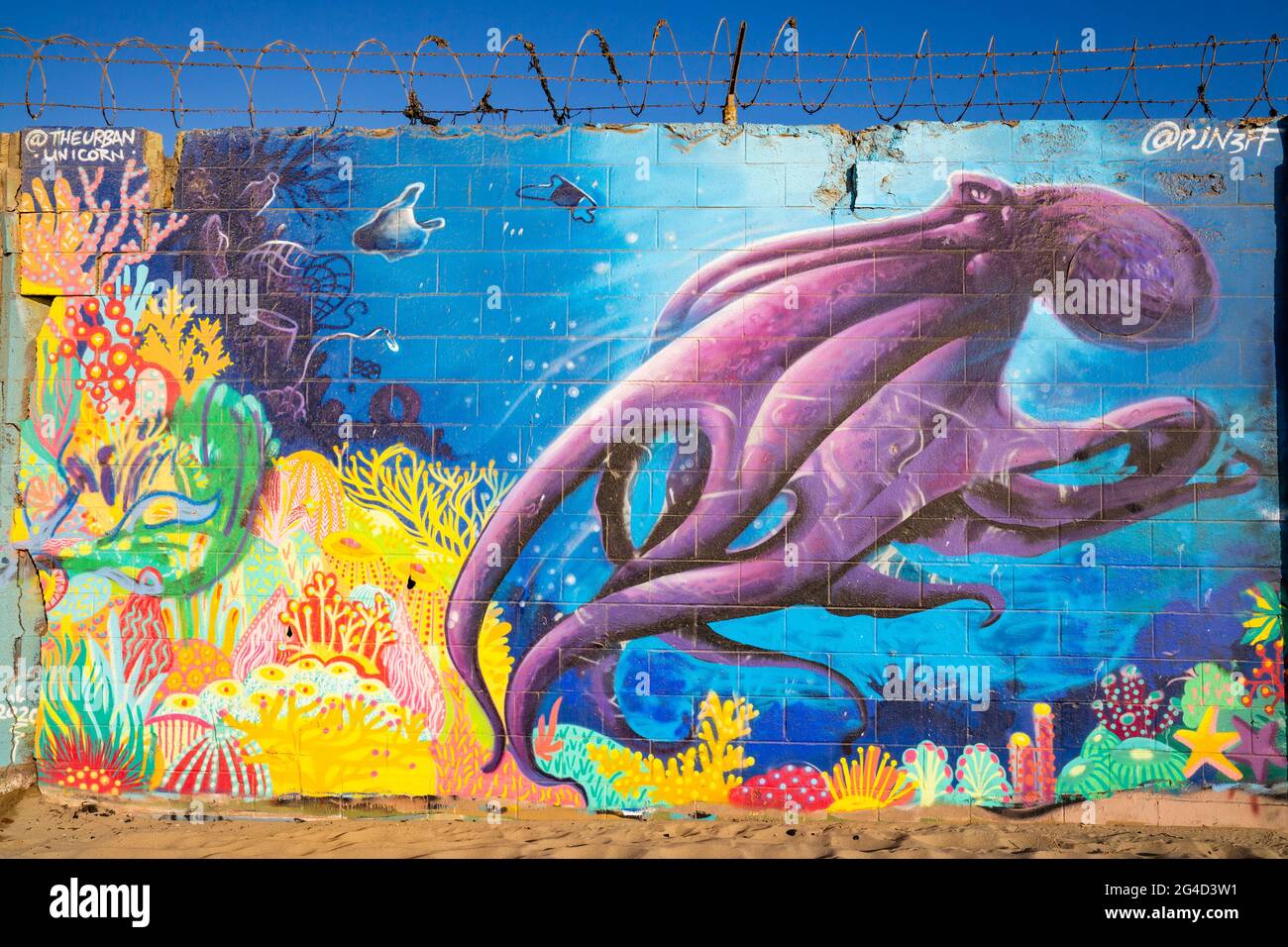 Detail Octopus Graffiti Art Nomer 5
