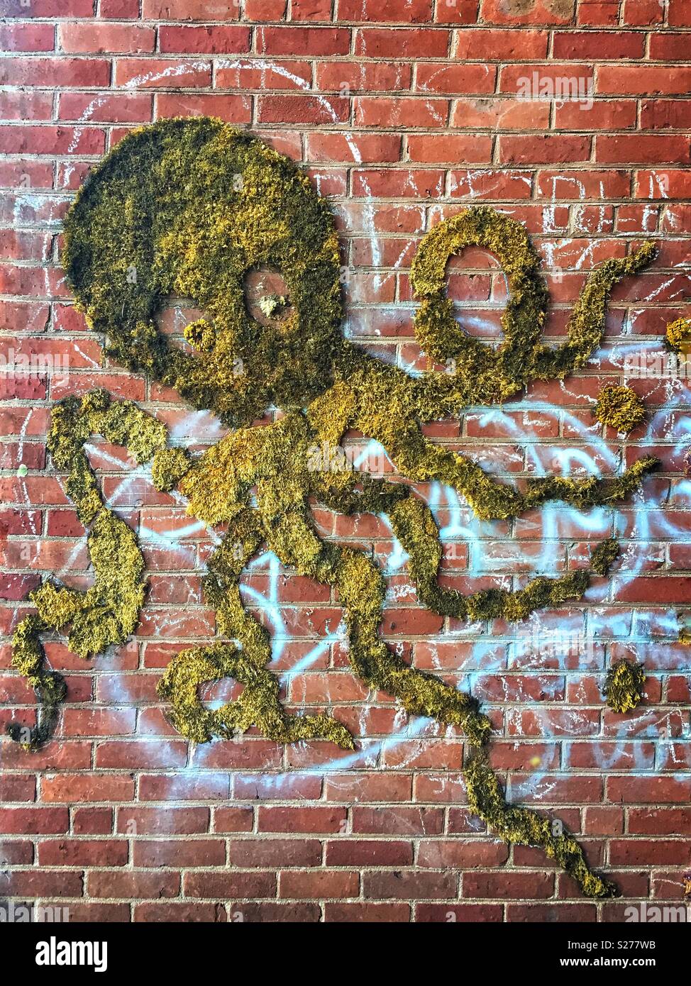 Detail Octopus Graffiti Art Nomer 43
