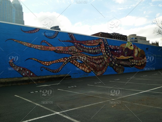 Detail Octopus Graffiti Art Nomer 50