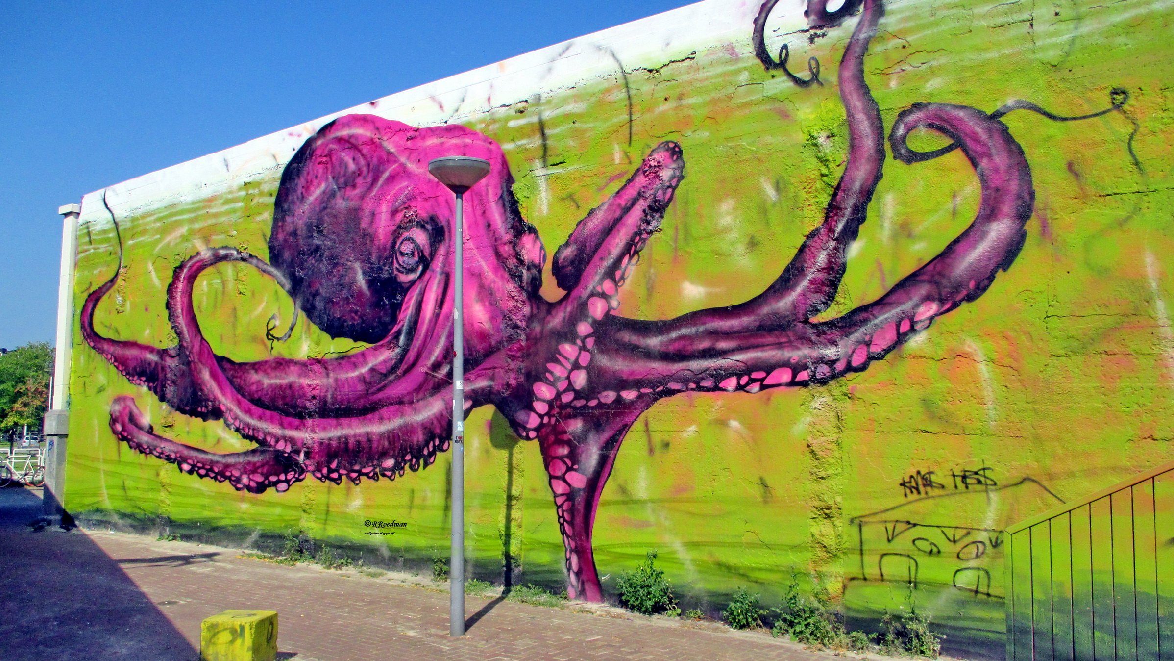 Detail Octopus Graffiti Art Nomer 53