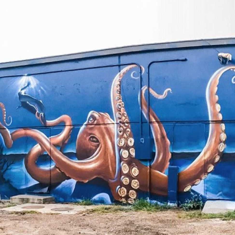 Detail Octopus Graffiti Art Nomer 8