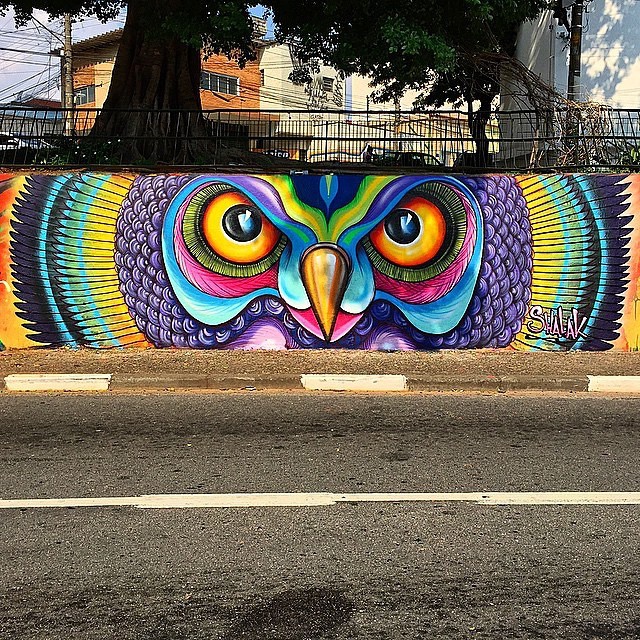 Detail Owl Graffiti Nomer 24