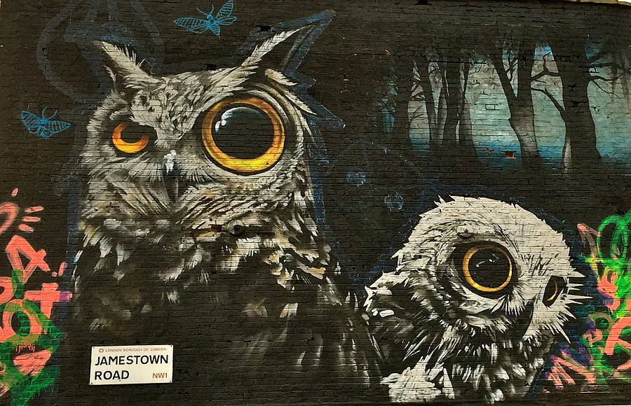 Download Owl Graffiti Nomer 35