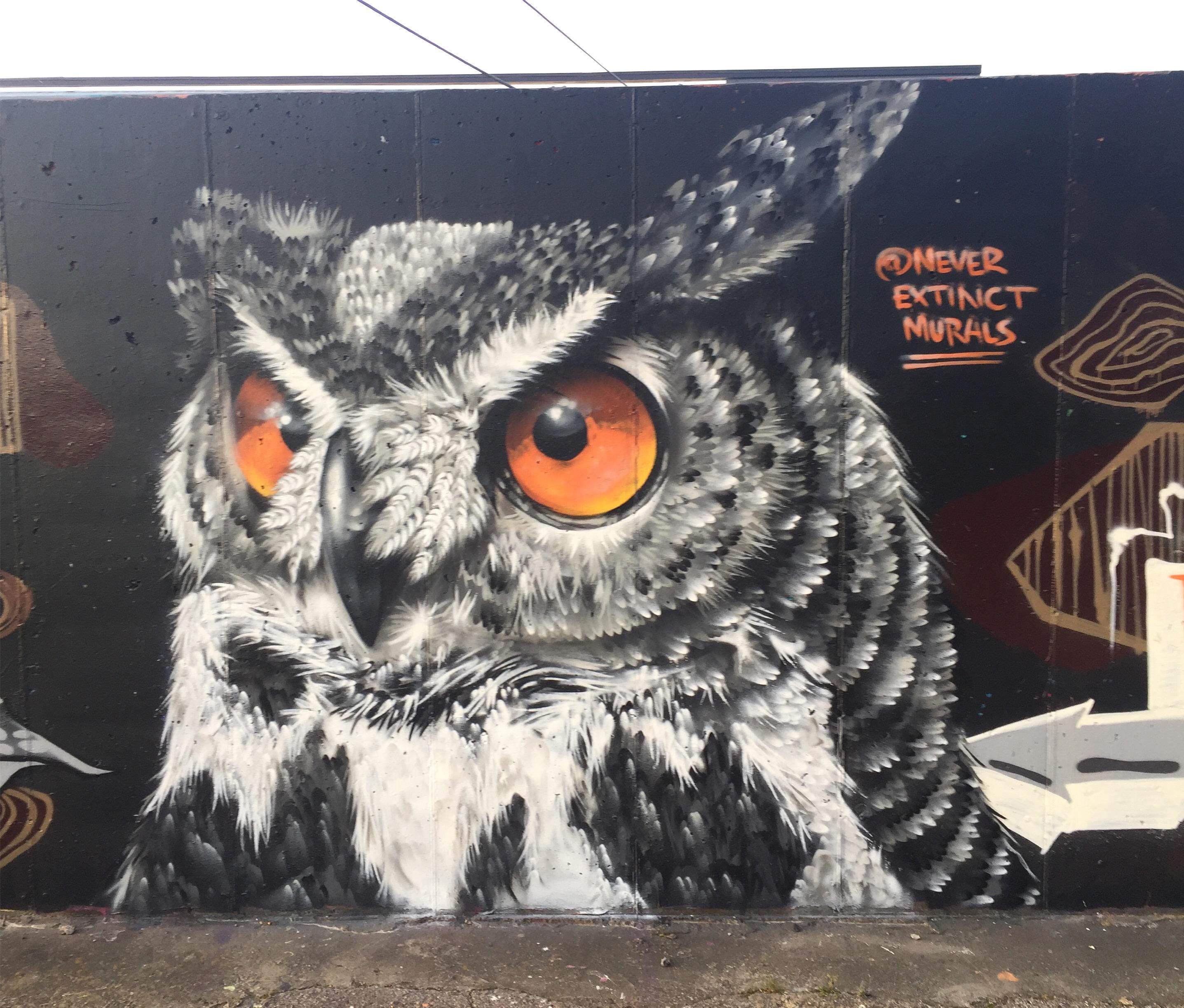 Detail Owl Graffiti Nomer 37