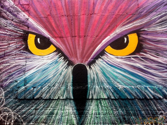 Detail Owl Graffiti Nomer 43