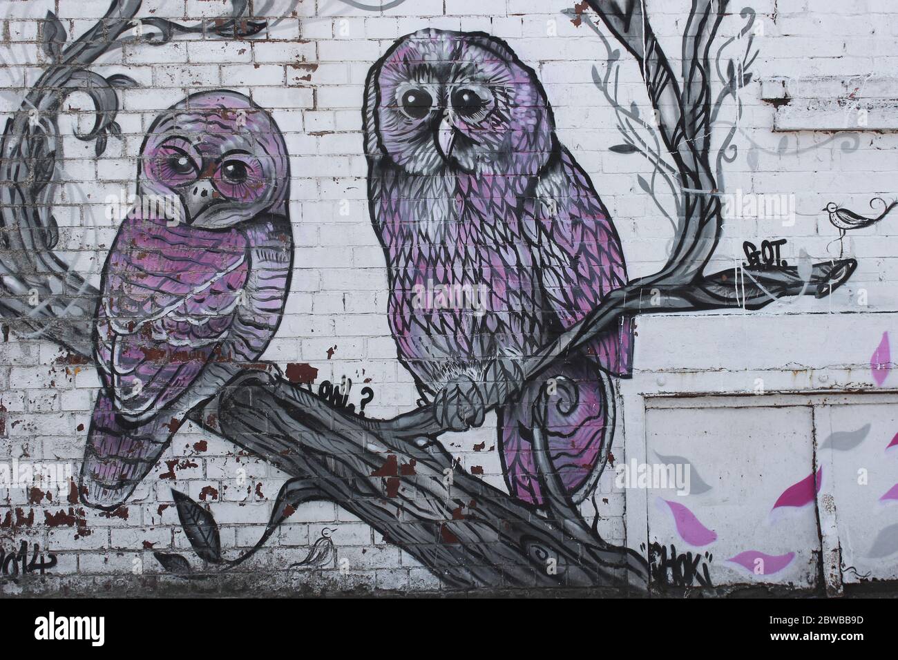 Detail Owl Graffiti Nomer 48