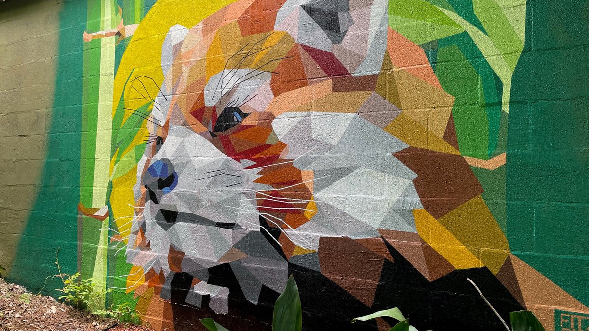 Detail Panda Graffiti Artist Birmingham Nomer 12