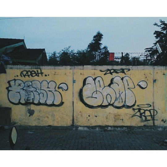 Detail Perbedaan Vandalisme Dan Graffiti Nomer 10