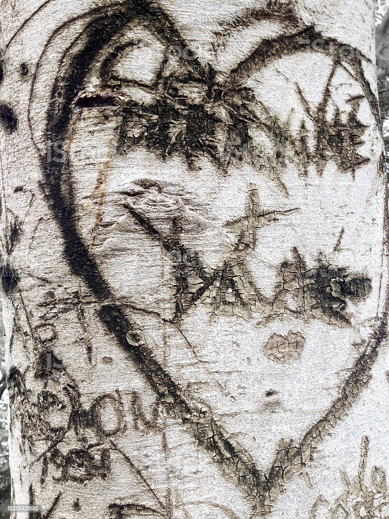 Detail Pohon Graffiti Nomer 41