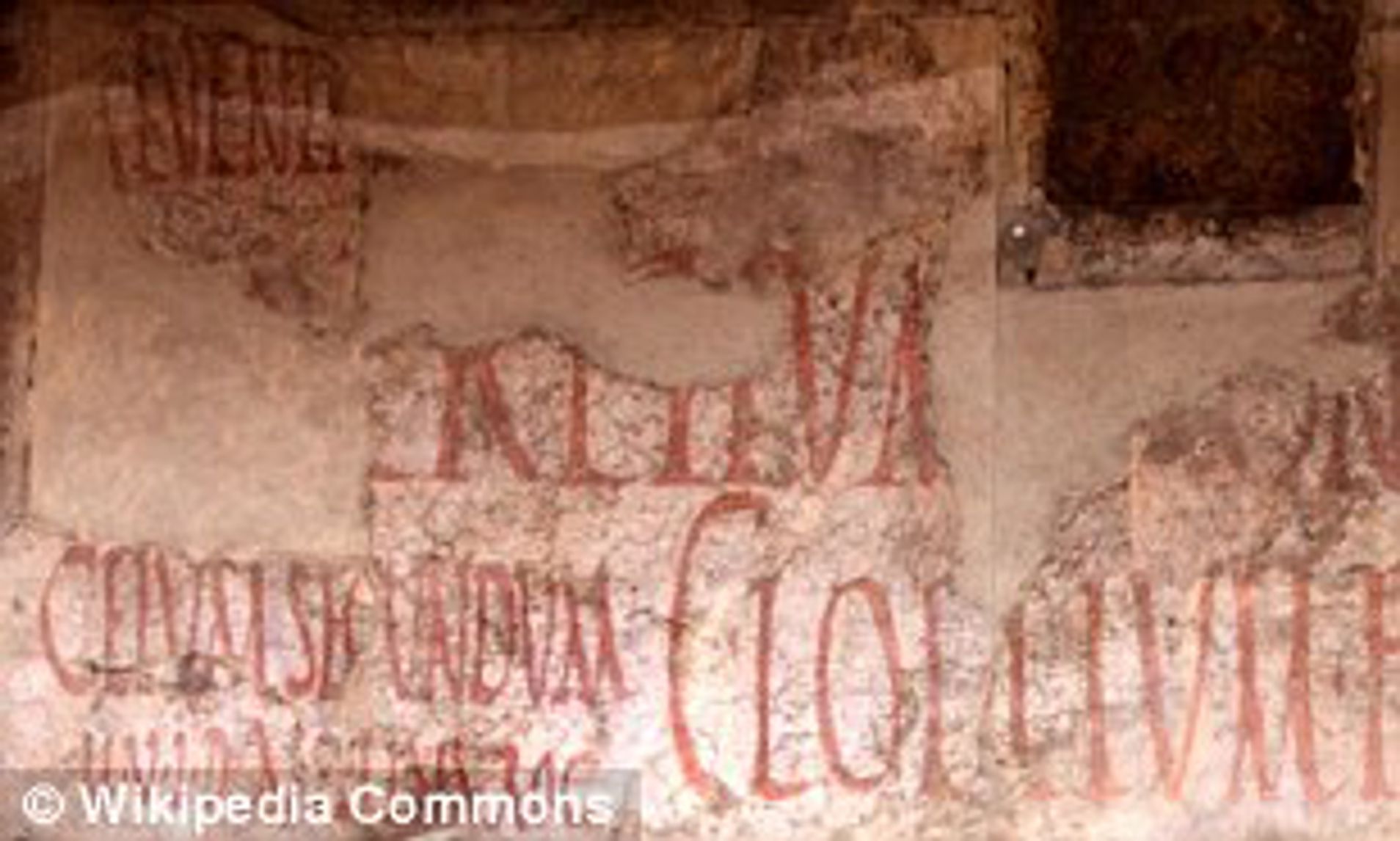 Detail Pompeii Graffiti Nomer 35