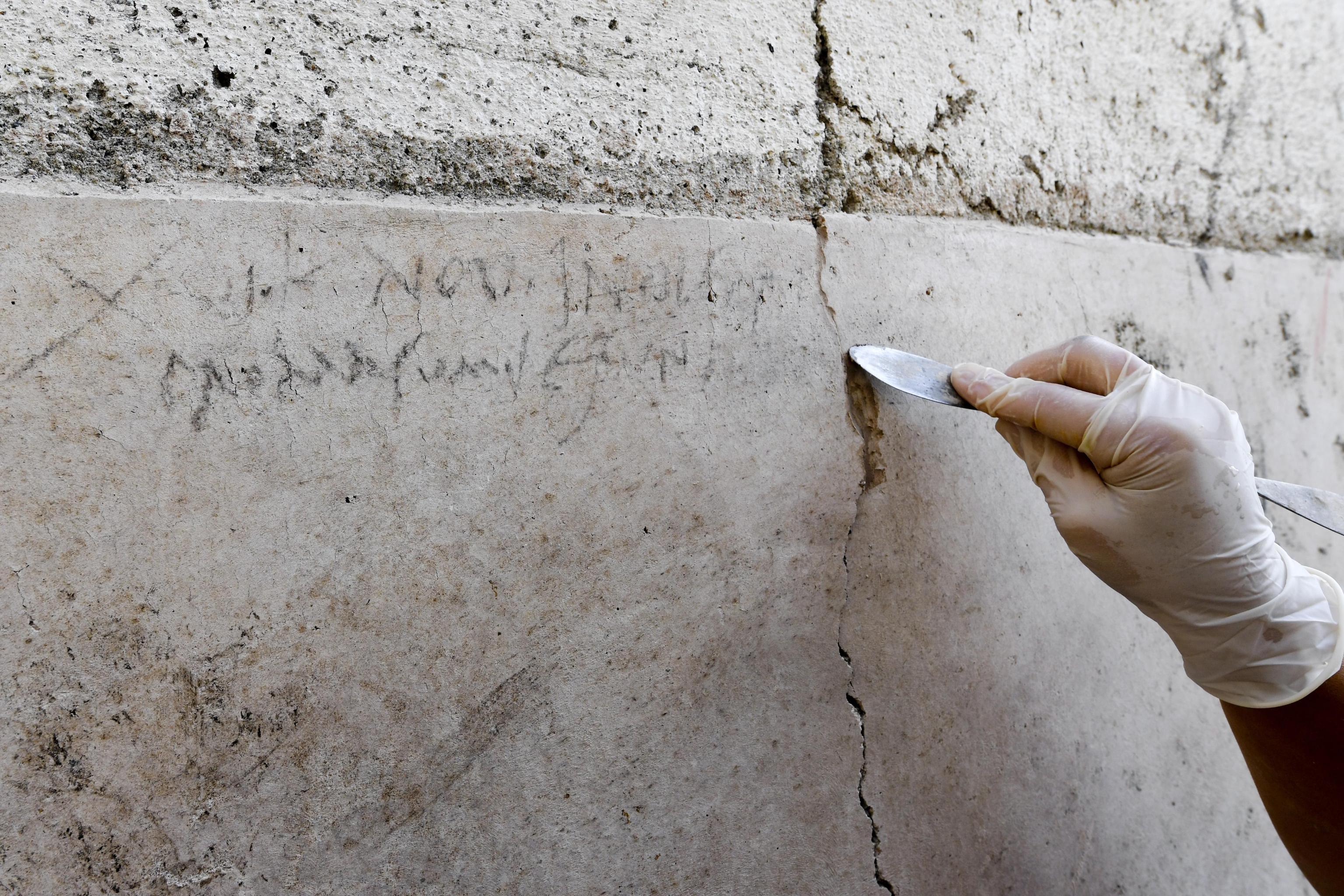 Detail Pompeii Graffiti Nomer 50