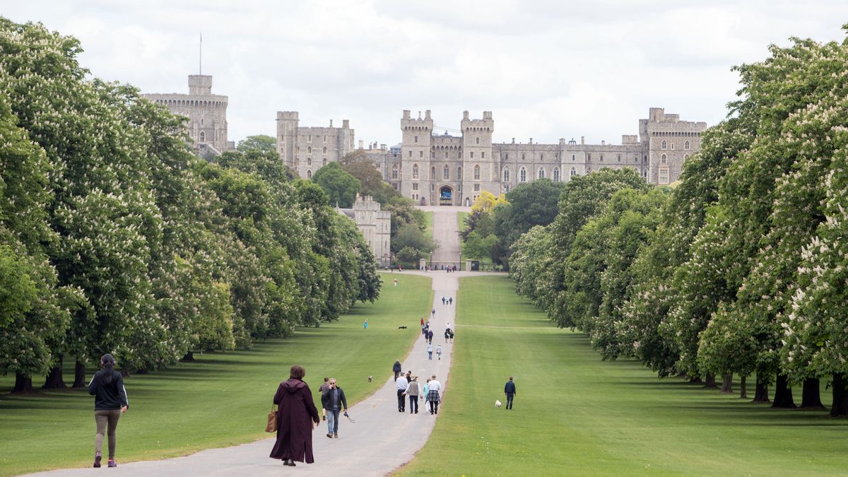 Detail Queen Graffiti Windsor Castle Nomer 19