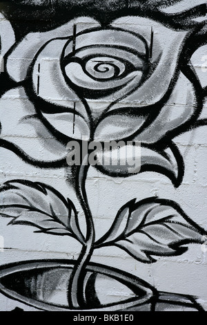 Detail Rosa Graffiti Nomer 11