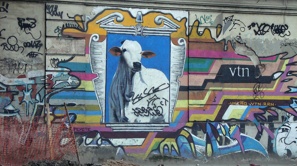 Detail Sapi Graffiti Nomer 18