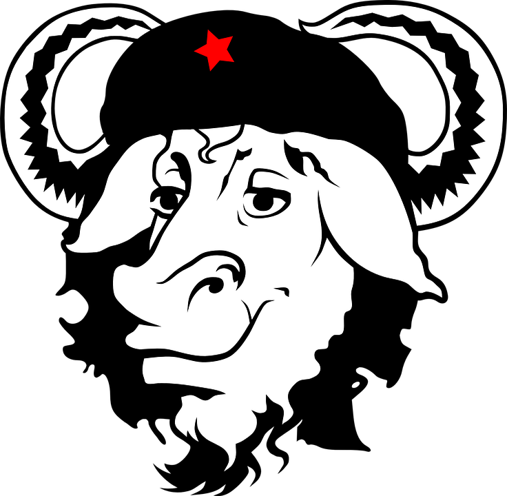 Detail Sapi Graffiti Nomer 39