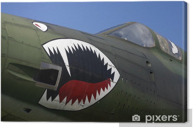 Detail Shark Teeth Graffiti On Aircraft Nomer 26