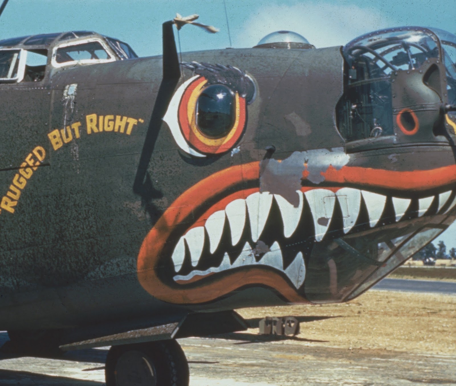 Detail Shark Teeth Graffiti On Aircraft Nomer 51