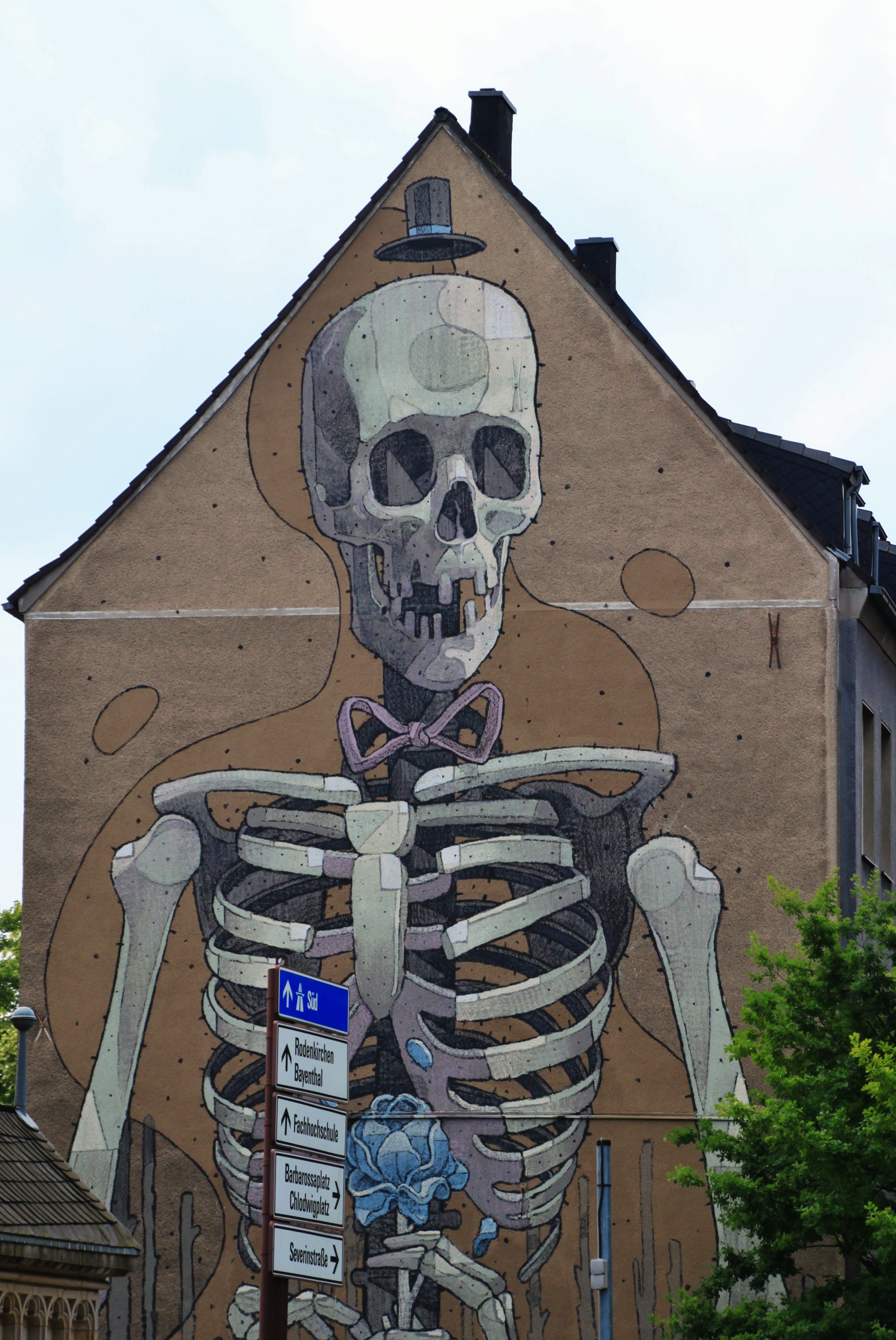 Detail Skull Graffiti Parka Nomer 38