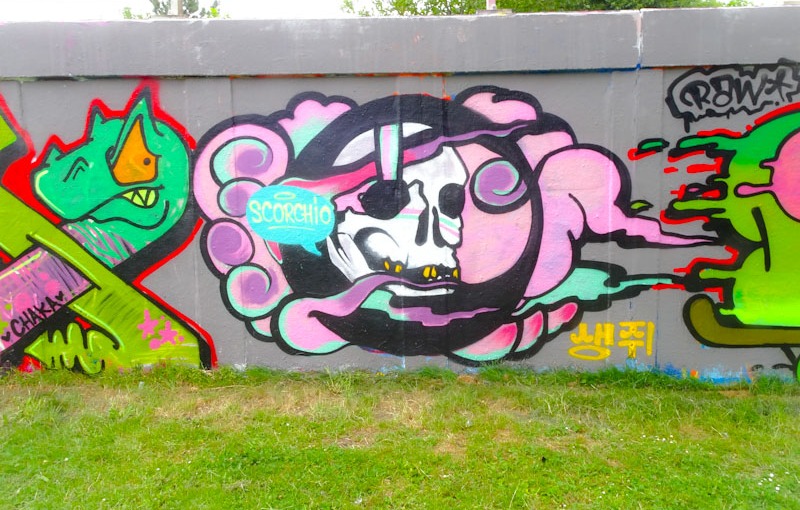 Detail Skull Graffiti Parka Nomer 41