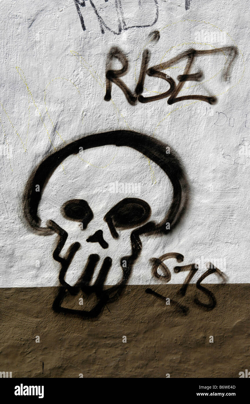 Detail Skull Graffiti Spray Nomer 12