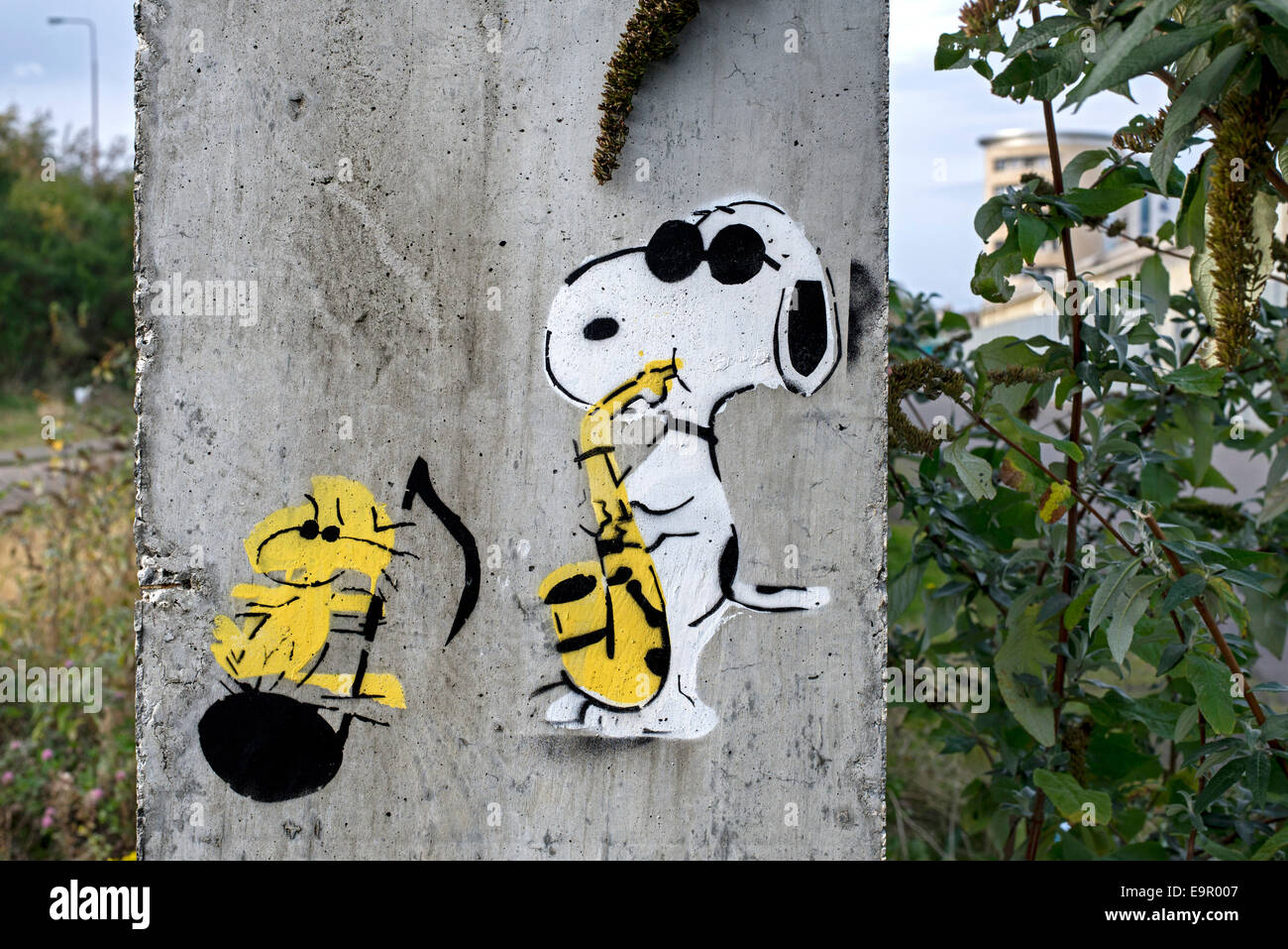 Detail Snoopy Graffiti Nomer 13