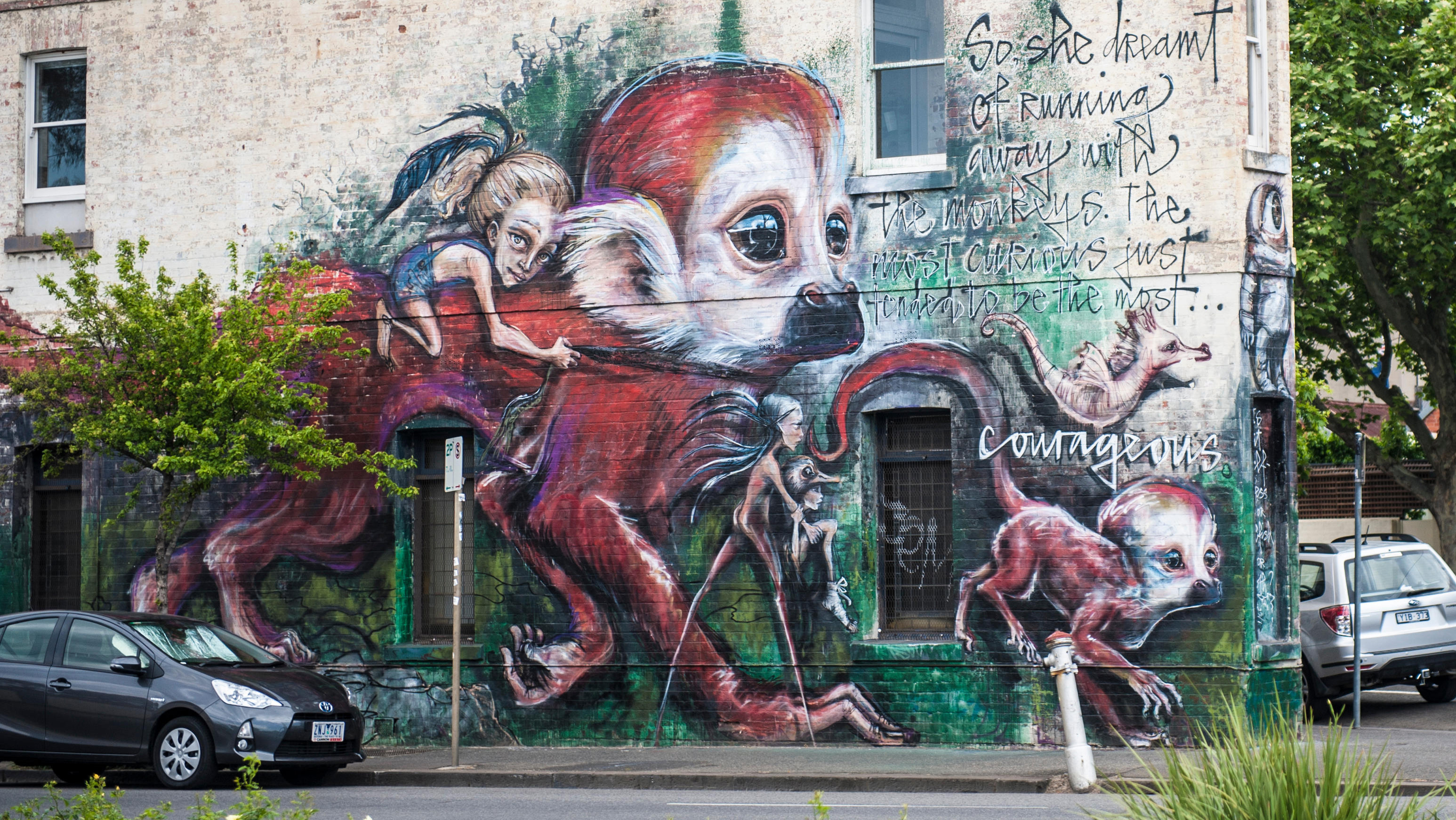 Detail Street Graffiti Artist Melbourne Nomer 2