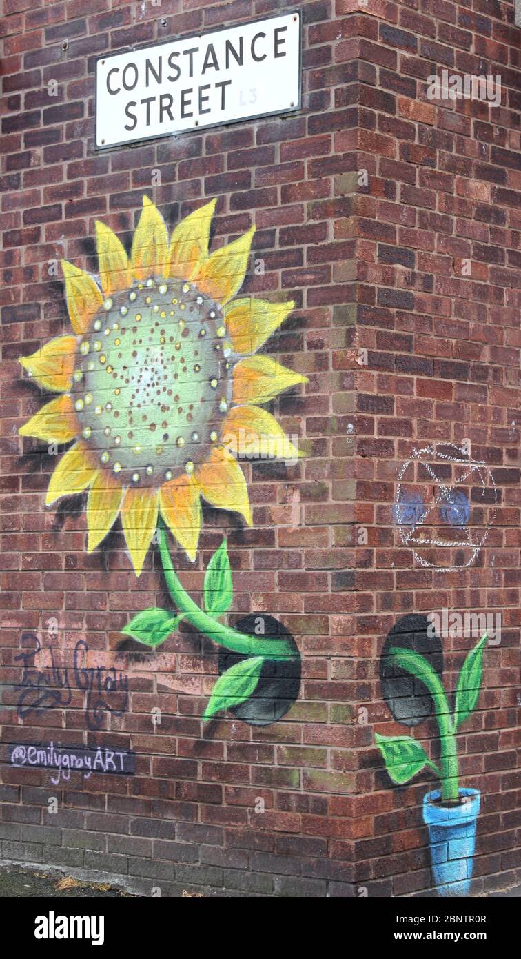 Detail Sunflower Graffiti Nomer 12