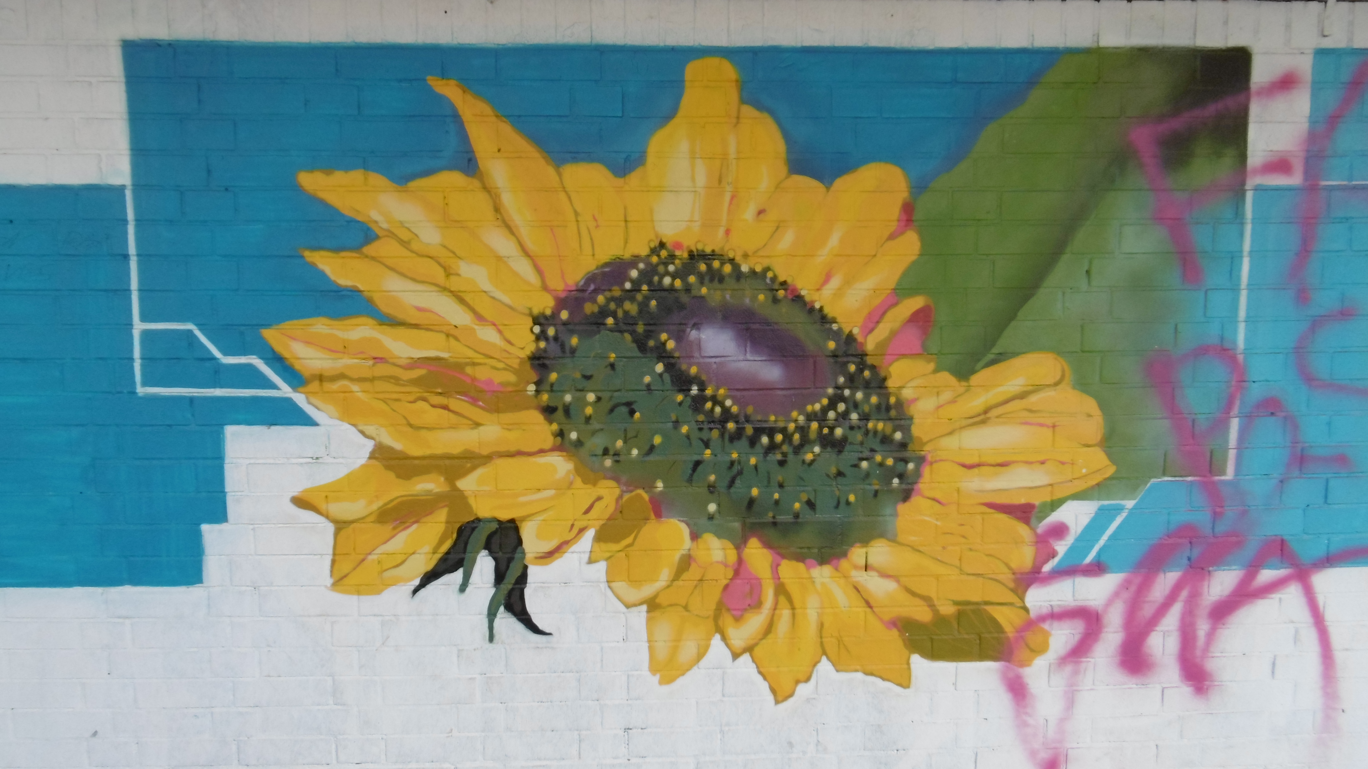 Detail Sunflower Graffiti Nomer 26