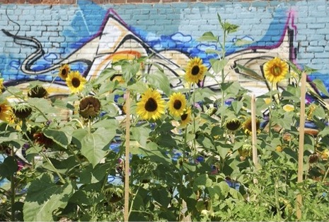 Detail Sunflower Graffiti Nomer 29