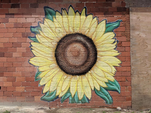 Detail Sunflower Graffiti Nomer 8