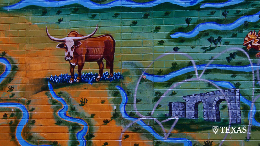 Detail Texas Graffiti Cow Law Nomer 20