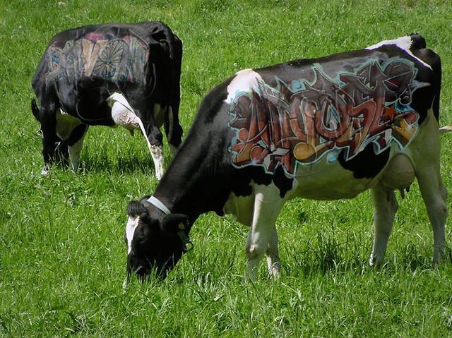 Detail Texas Graffiti Cow Law Nomer 6