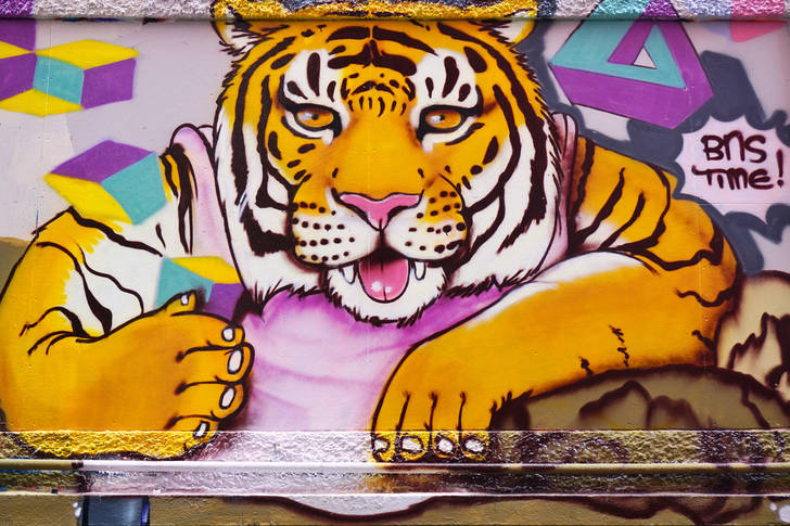 Detail The Tiger Graffiti Nomer 12